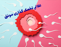 علائم تخمک گذاری موفق: 19 علامت شایع و همه نکات باروری و بارداری