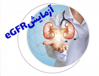 آزمایش eGFR و رنج نرمال آن؛ آزمایش eGFR در شیراز